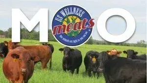 US Wellness Meats